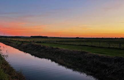 The Whitstable Healing Spot - Foto 44