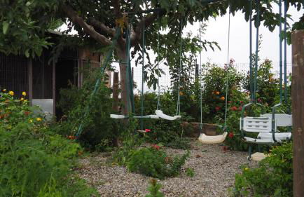 L'Era de Cal Roger - Foto 113