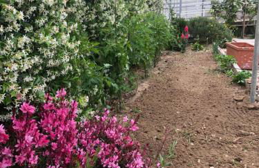 Marì casa vacanza - Foto 26