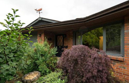 The Flying Whale-MountTabor. - Photo 30