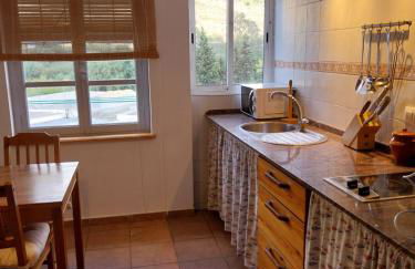 Ave Ibis eremita Vejer - Foto 8