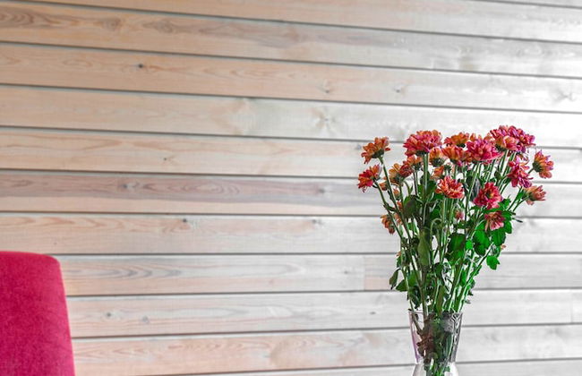 Ski-Inn MastonAitio - Foto 53