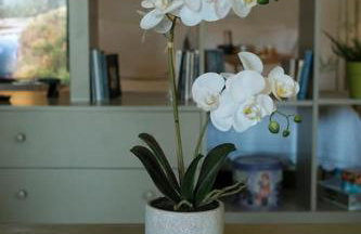 Apartment with garden in Thessaloniki. - Photo 21