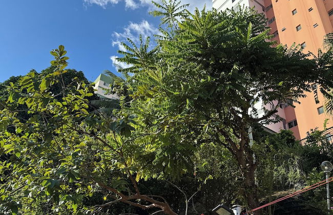 Apartamento perto de tudo em condomínio - Photo 13