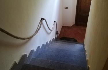 L'Aia degli olivi - Foto 11