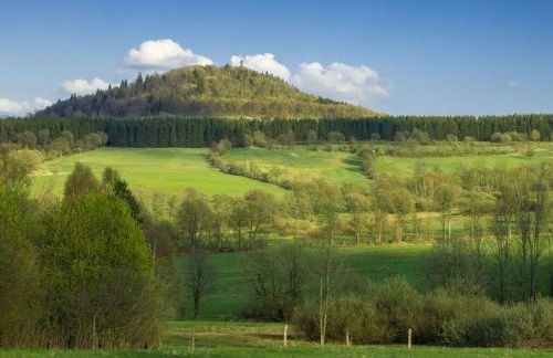 Holiday Apartment Waldfrieden - Foto 43