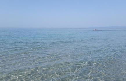 Artistika Golden Apartment - Foto 65