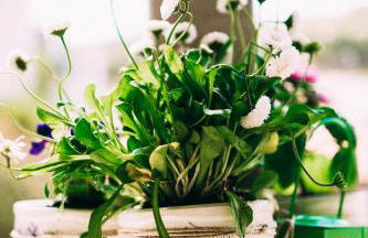 Axiokersa Suites - Foto 25