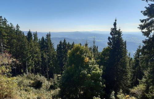AnNo - Wohlfühlen am Bachal in Altschönau - Foto 35