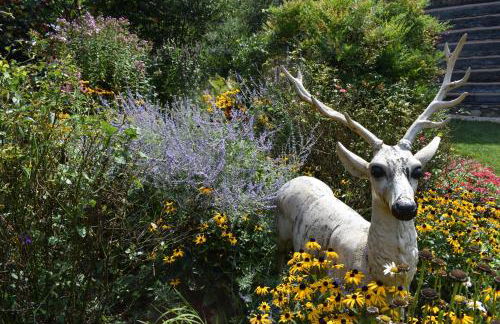 Restored1850s log cabin, with gazebo and gardens! 1 mile to downtown Weaverville - Foto 46