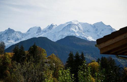 Le Mazot d'la Marmotte T3 - Foto 10