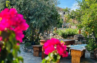 Balis House - Foto 29