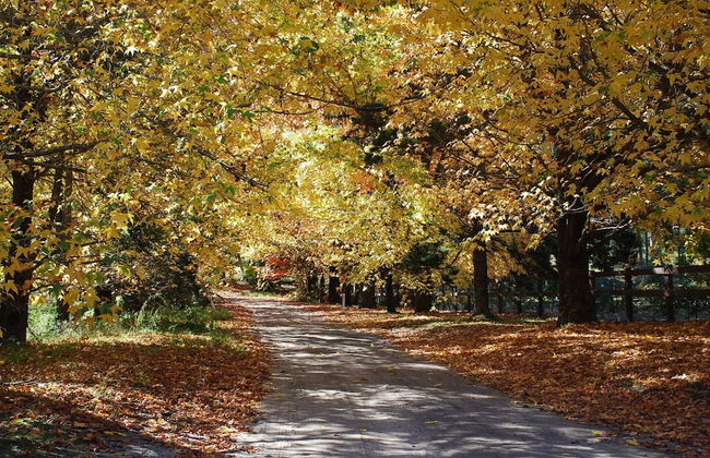 Wildside Sanctuary - Foto 35