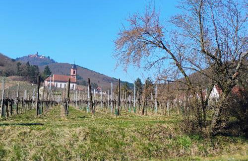 Gîte Le Marronnier, parking et terrasse au calme, entre Colmar-Riquewihr et Obernai, vue sur espaces verts et coteaux d Alsace, route du vin-châteaux - Foto 77