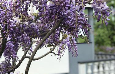 Odisea Hill House - Modern Holiday Home with swimming pool, sauna, jacuzzi, WiFi and 2 bedrooms, near Varazdin - Foto 36