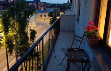 Apartman Dunav - Foto 33