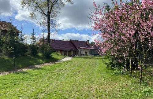 Agroturystyka Jeroniczówka - Foto 5