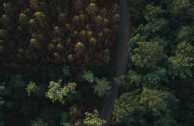 MU_MORADAS NO ULLA - Foto 7