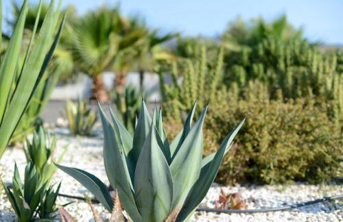 Cortijo Oro Verde B&B - Foto 45