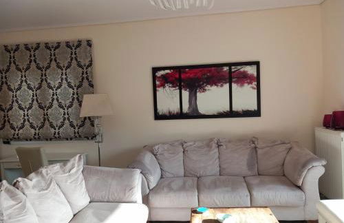 Fox's Sunshine - Foto 6