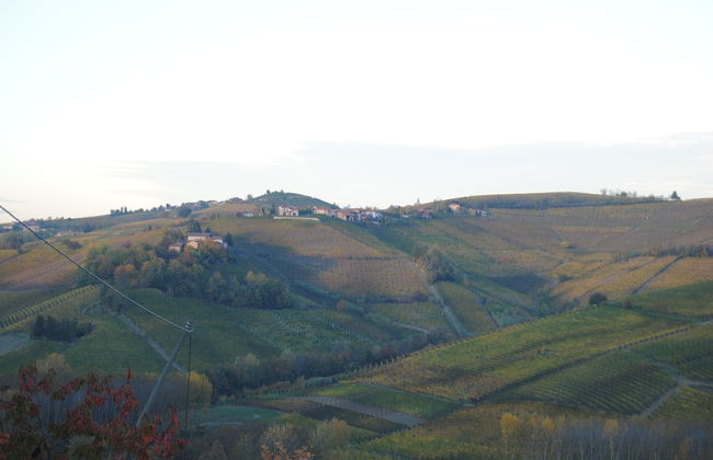 Agriturismo i Grappoli - Photo 48