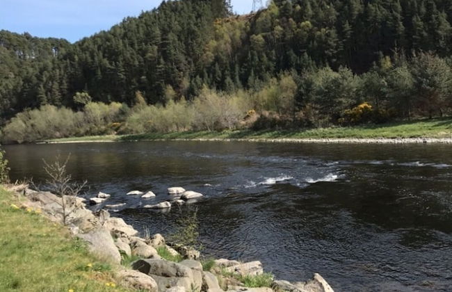 Lovely 1-bed House in Fochabers, Scotland - Photo 11