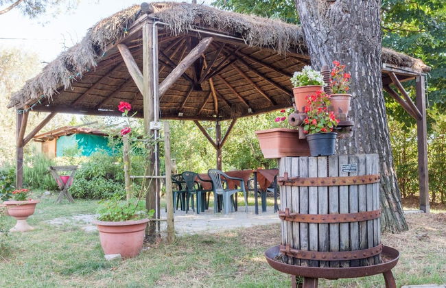 Artisti del Cavallo Tourism - Foto 25