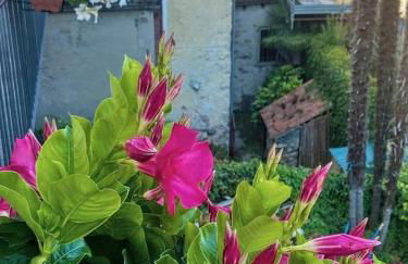 Casa Doris - Foto 42