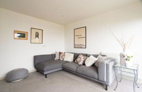 Snow Goose - Foto 16