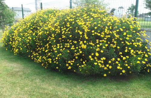 Apartamentos La Cruz de Paderne - Foto 78