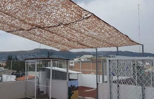 Bienvenidos to Oaxaca - Foto 18