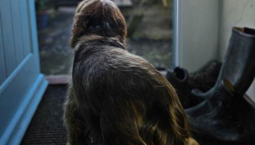 Barton Cottage - Photo 4