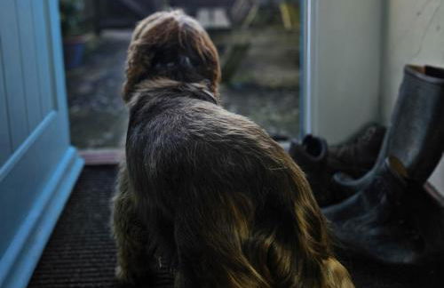 Barton Cottage - Photo 4