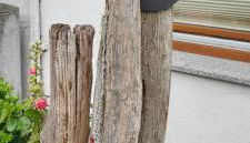 Stadtrandgeflüster-Ferienwohnung für 2 Personen - Foto 2, Garden view