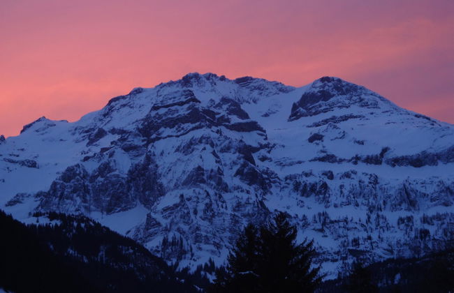 Strubelblick EG - Foto 7