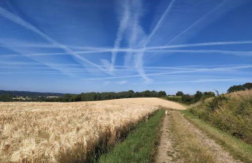 Le refuge - Photo 20