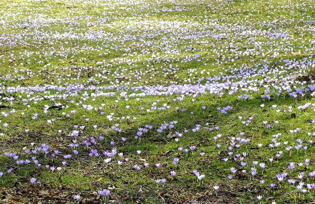 Ferienhaus Drebach - Foto 34