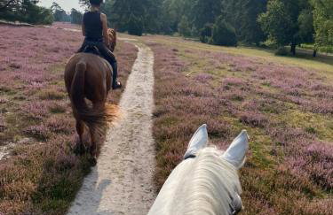 Heidegut Eschede Reitsportanlage und Feriendorf - Foto 49