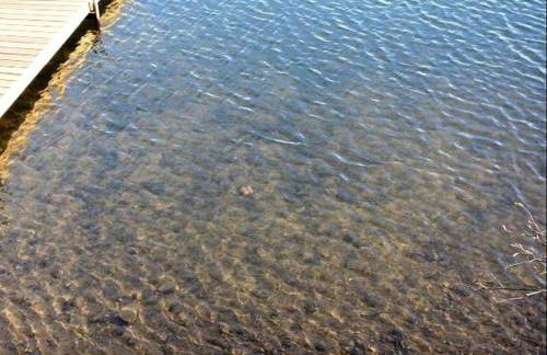 Quiet Lakeside Cabin Rental for Families just Outside of Minocqua, Wisconsin - Foto 14