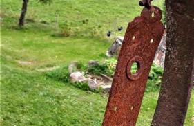 Outdoor & Relax Blackforest - Foto 31