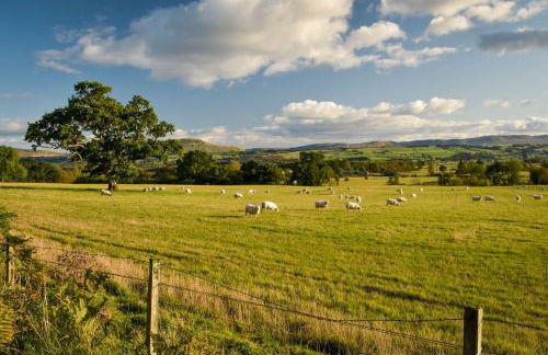 Cardross Holiday Cottages - Foto 10