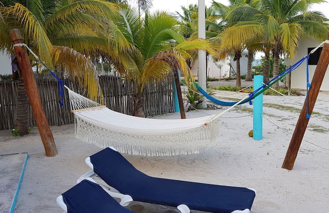 Casa de los peces - Foto 20