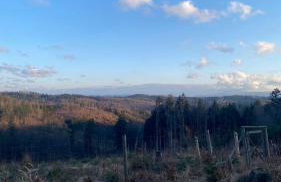 Apartamenty ARNIKA - Foto 65