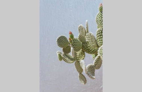 Palmaya Villa, unique seafront experience - Foto 44