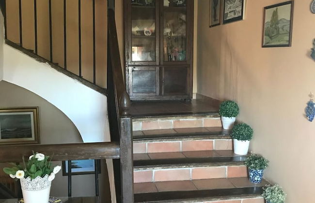 El Olivo de Sansol - Foto 1