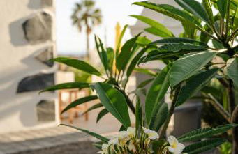 Casa Simón - Foto 5