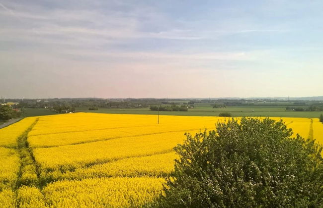 4 Person Holiday Home in Store Fuglede - Foto 11