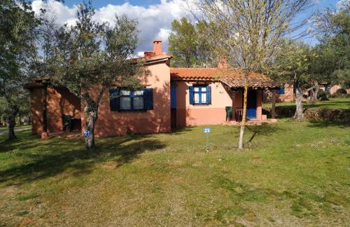 Aldea Vetonia Alojamientos con Encanto Parque de Mascotas-NO SE ACEPTAN EN JULIO Y AGOSTO- Varias zonas infantiles y deportivas "encuentranos y reserva para verano" - Foto 73