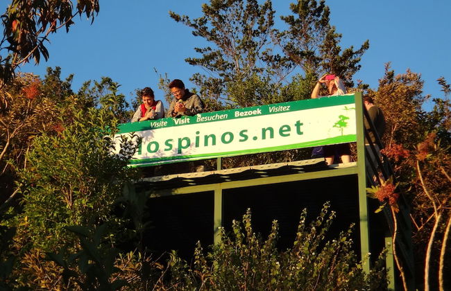 Los Pinos Cabanas y Jardines - Photo 42