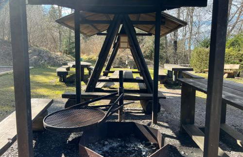 Schwarzwald-Studio mit Sonnenbalkon nähe Grillplatz - Photo 21